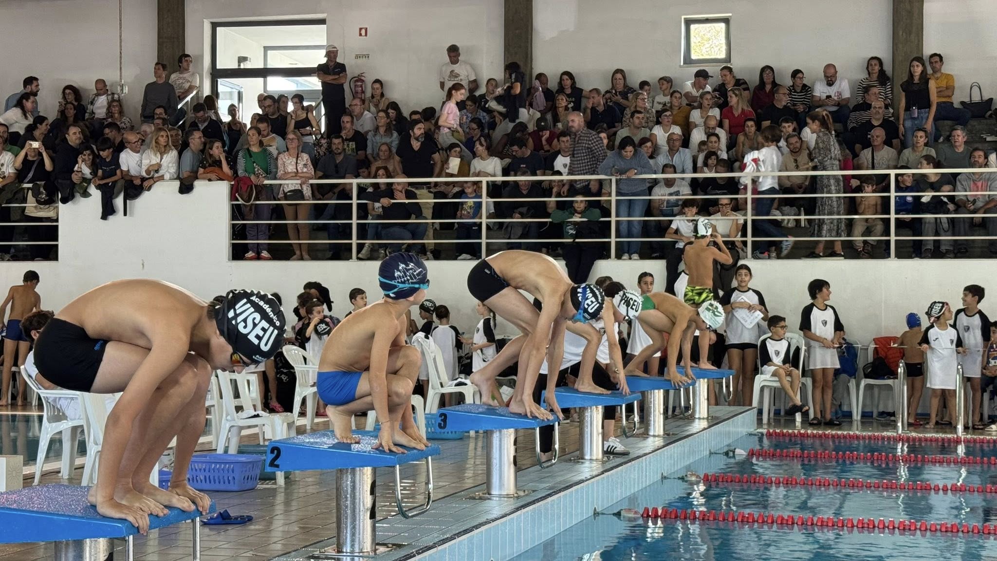 Festival MINI Cadetes - GOLFINHO SPORTS 1