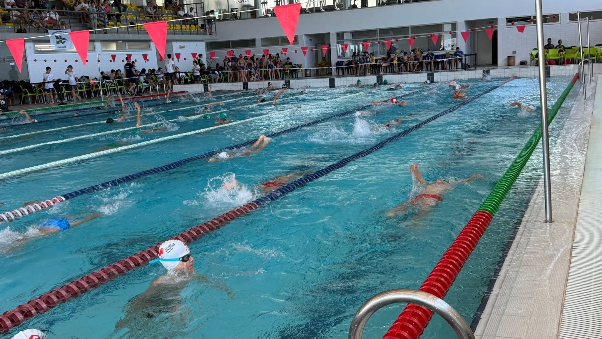 Festival de Cadetes - GOLFINHO SPORTS 3